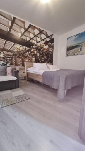 Apartament Olomouc NEW1, Olomouc